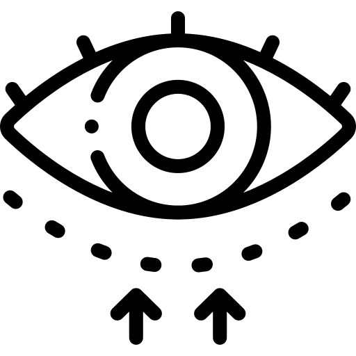 eye 1